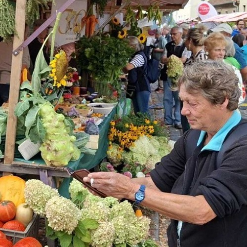 Marzahner Kleingärtner auf dem Umweltfest am 12.09.2026